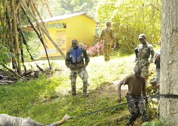 Jamaican State Partnership Program leads DC Army National Guard soldiers to Jamaica for Subject Matter Expert Exchange