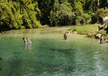 Jamaican State Partnership Program leads DC Army National Guard soldiers to Jamaica for Subject Matter Expert Exchange