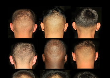 A Cut Above the Rest