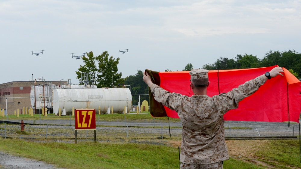 Ospreys take stage at TBS