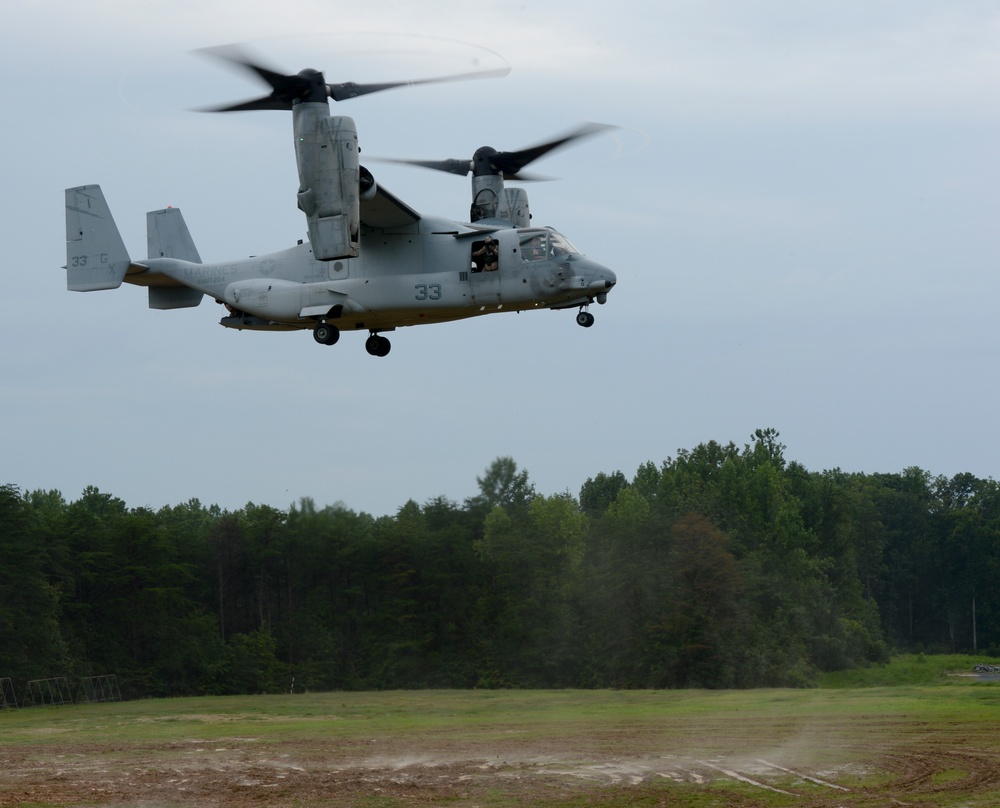 Ospreys take stage at TBS