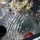 Calif. Guard battles Rim Fire