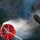 Calif. Guard battles Rim Fire