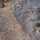 Calif. Guard battles Rim Fire