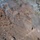 Calif. Guard battles Rim Fire