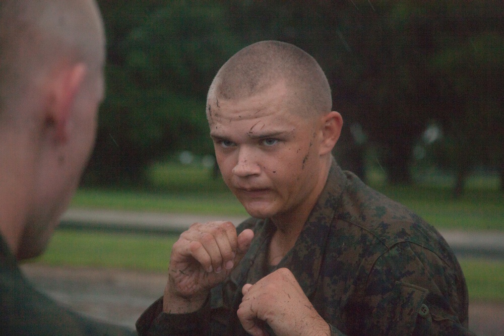 Photo Gallery: Recruits hone martial arts skills on Parris Island