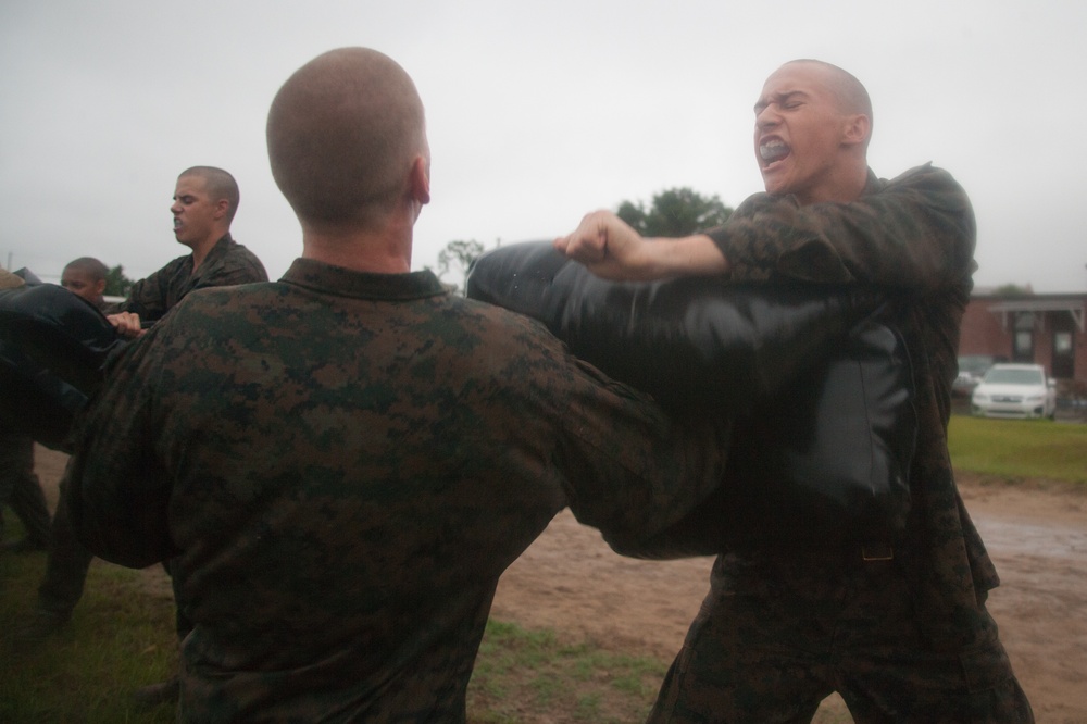 Photo Gallery: Recruits hone martial arts skills on Parris Island