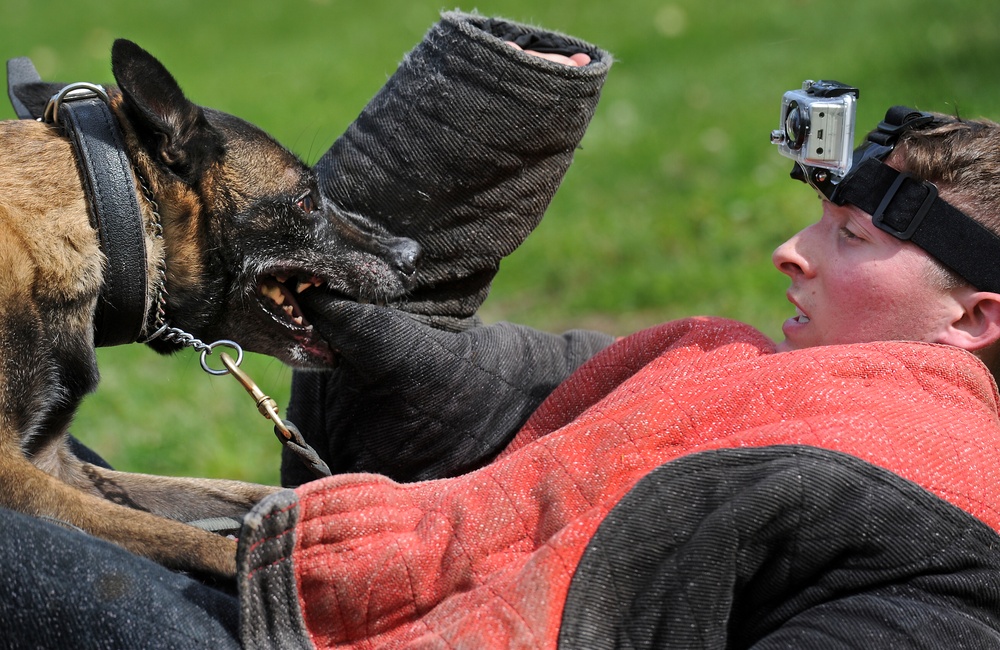 Air Force Security Forces train with K9 companions