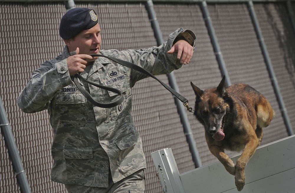 Air Force Security Forces train with K9 companions