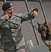 Air Force Security Forces train with K9 companions