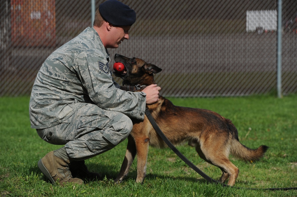 Air Force Security Forces train with K9 companions