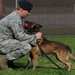 Air Force Security Forces train with K9 companions