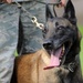 Air Force Security Forces train with K9 companions