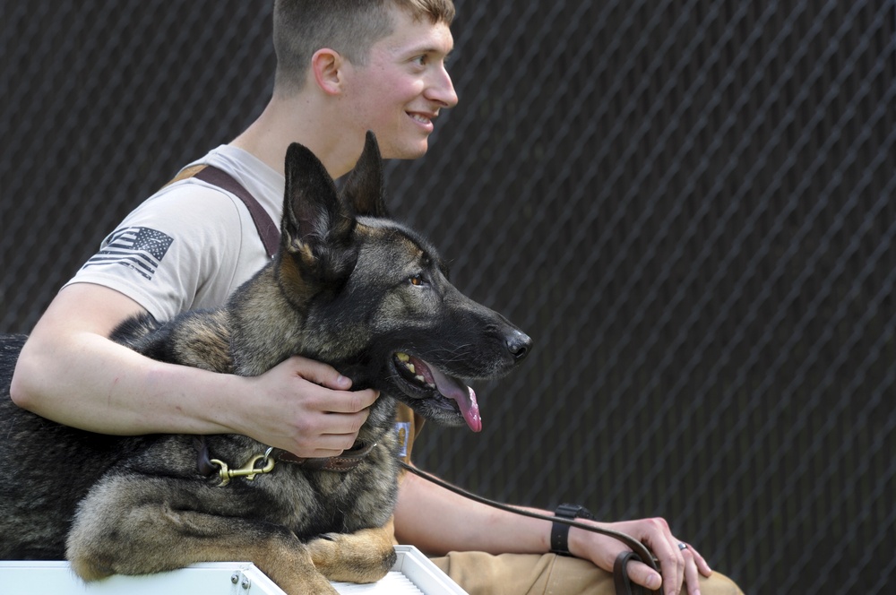 Air Force Security Forces train with K9 companions