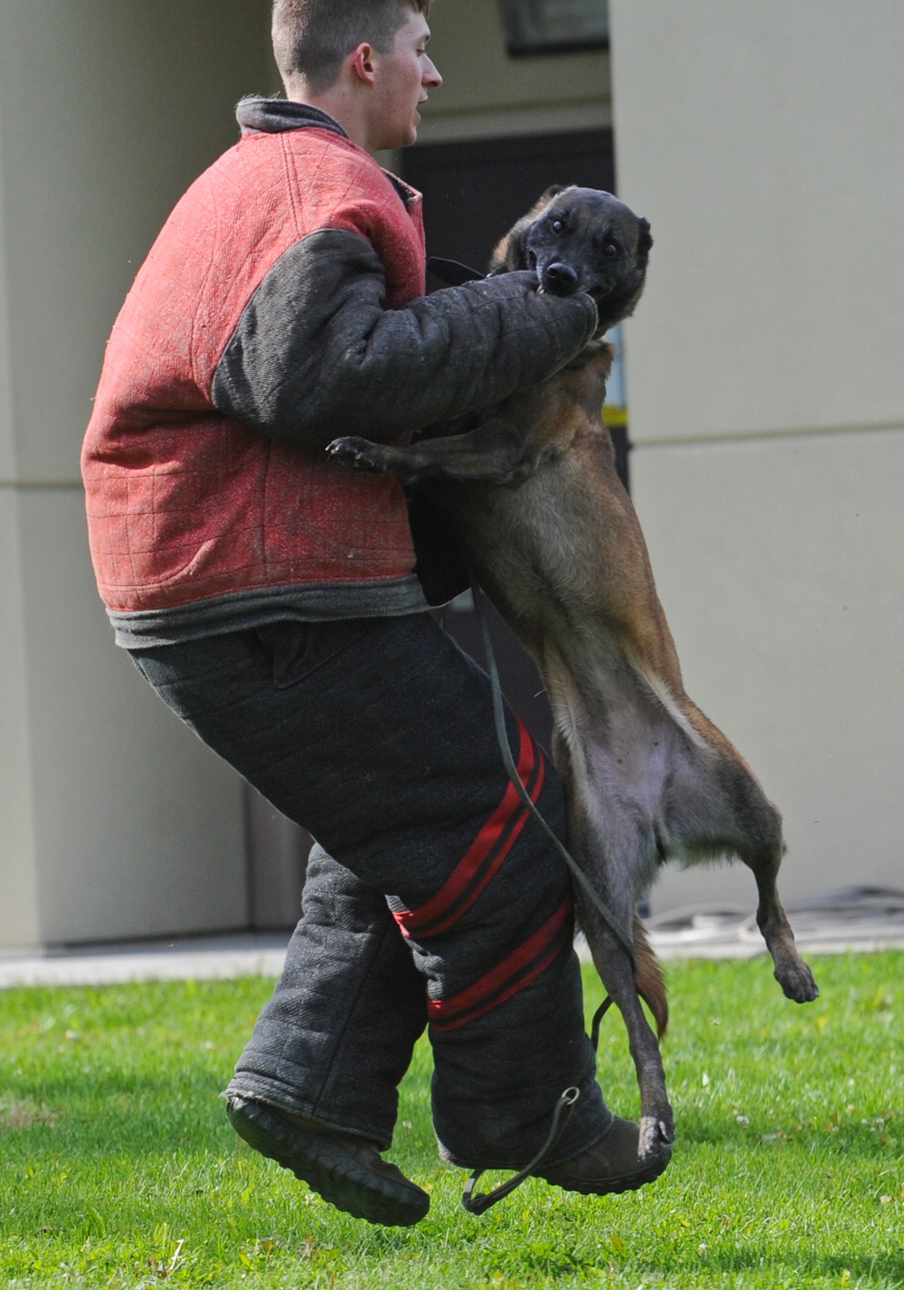 Air Force Security Forces train with K9 companions