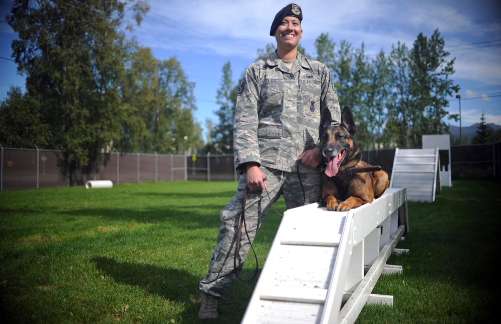 Air Force Security Forces train with K9 companions