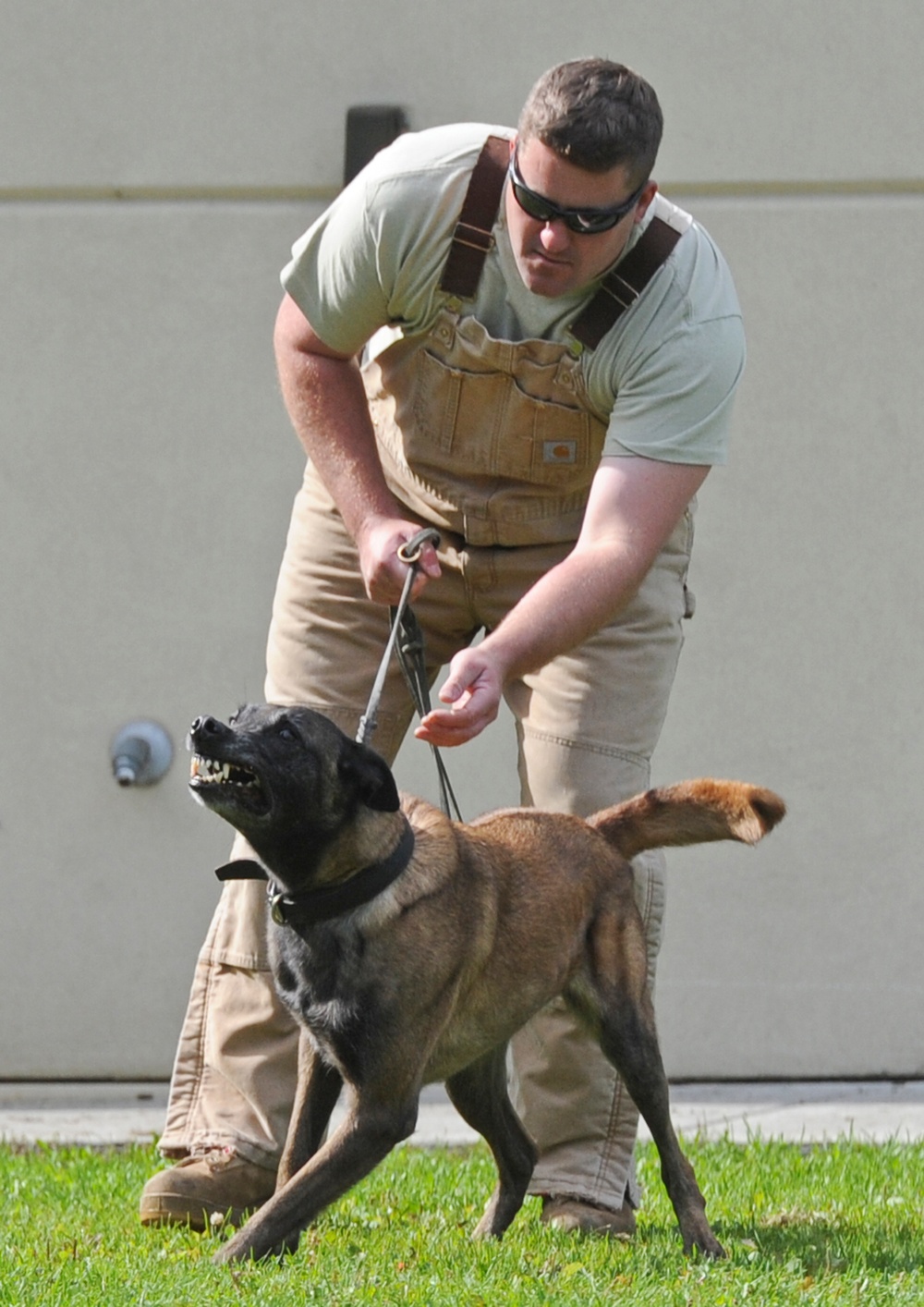 Air Force Security Forces train with K9 companions