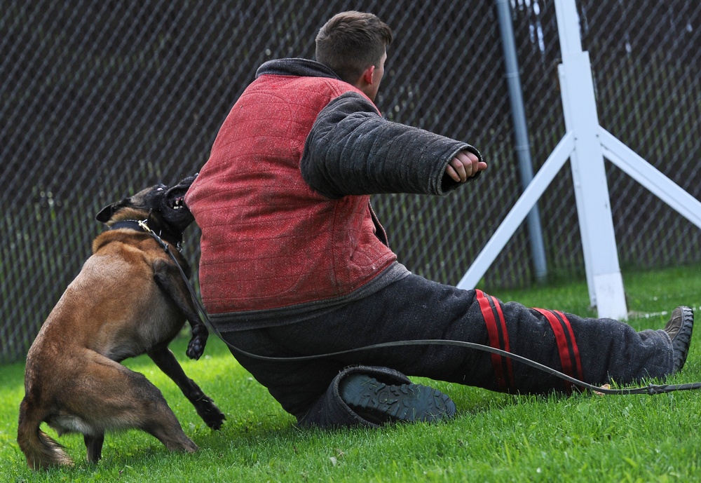 Air Force Security Forces train with K9 companions