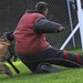 Air Force Security Forces train with K9 companions