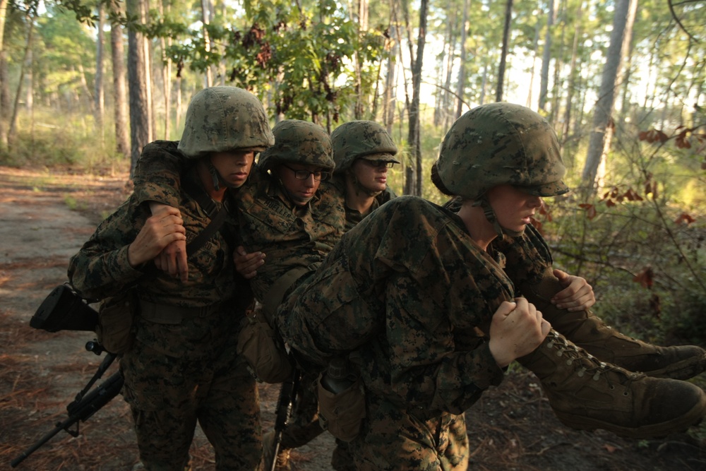 Photo Gallery: Parris Island recruits prove worthy of Marine title