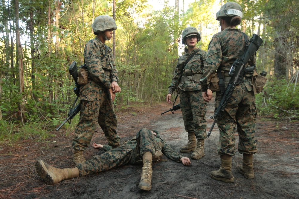 Photo Gallery: Parris Island recruits prove worthy of Marine title