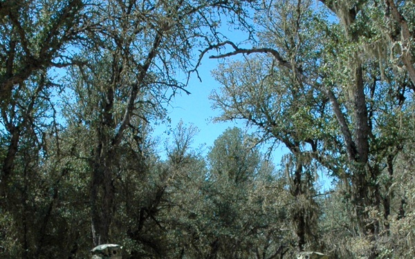 Vice admiral visits Reservists in California