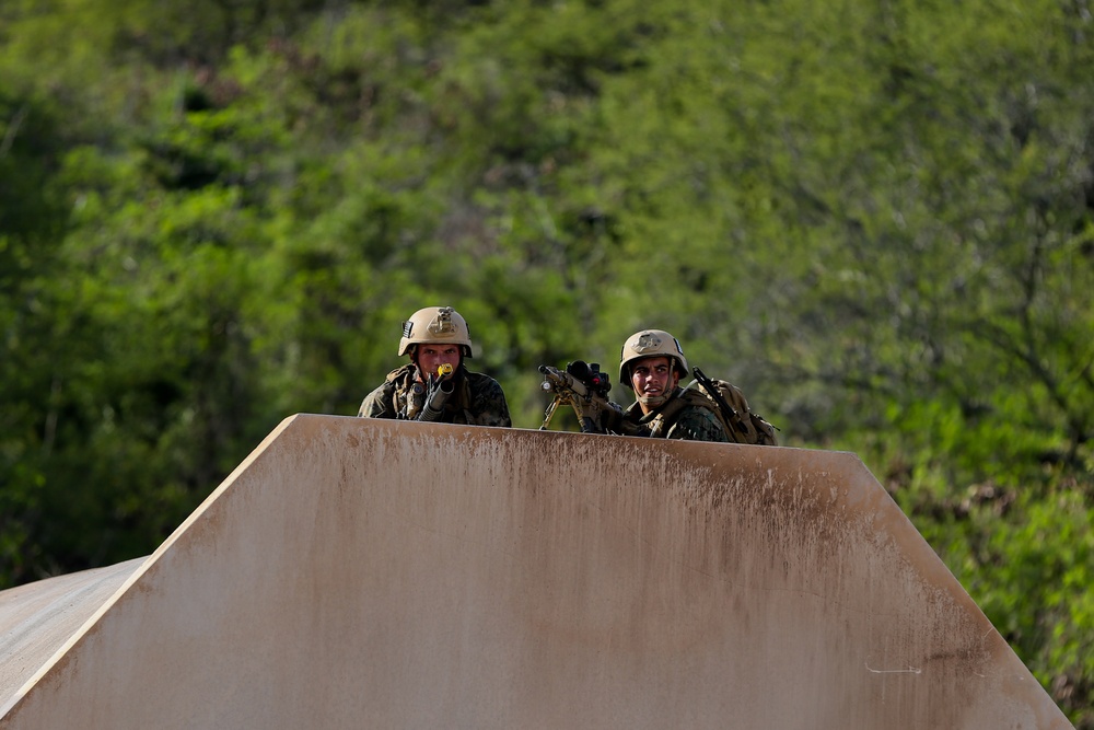 Recon Marines conduct swift, silent rescue during training