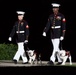 Evening parade