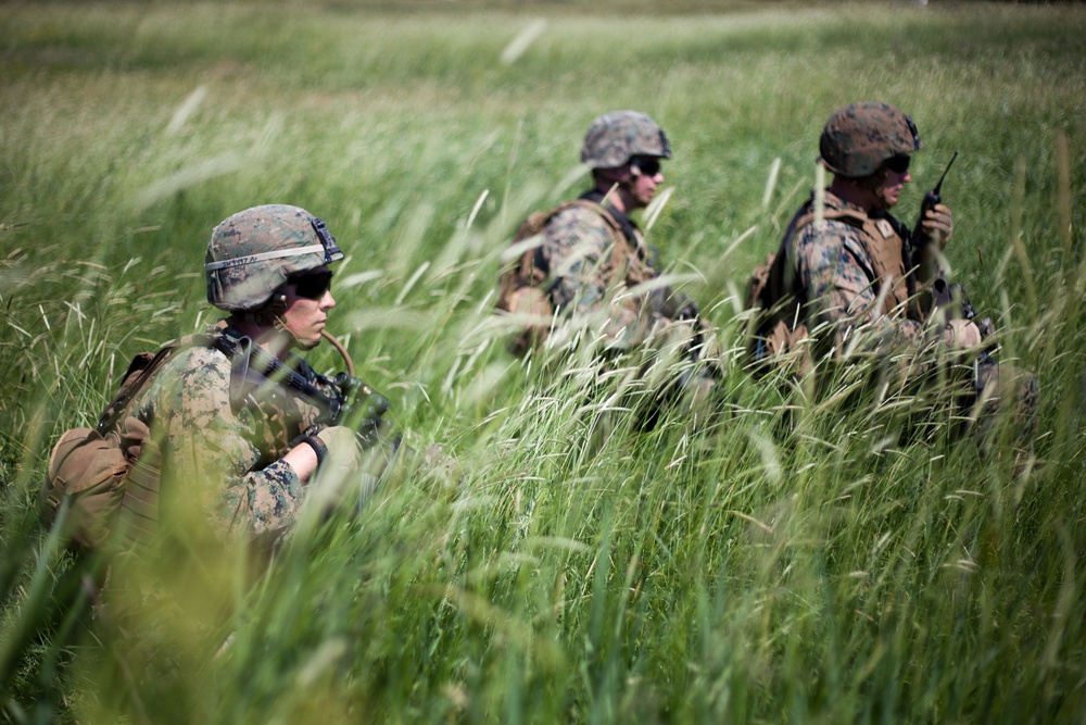 Black Sea Rotational Force 13