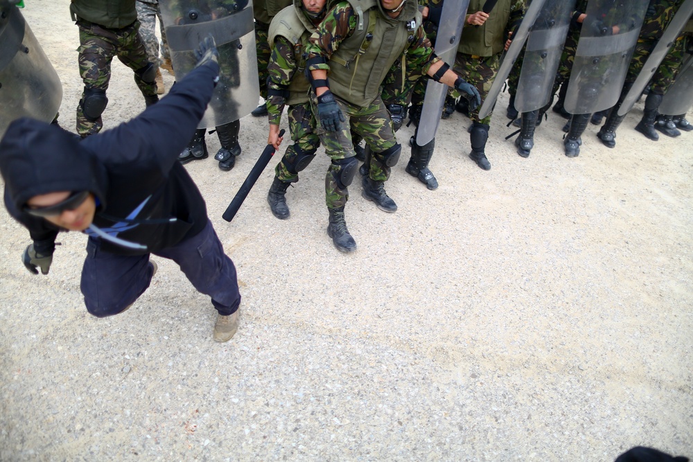 525th Battlefield Surveillance Brigade Kosovo force training exercise