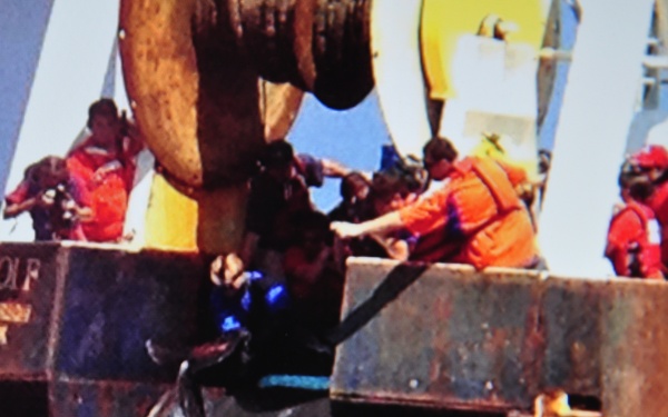 Coast Guard assists in dolphin’s release into the ocean