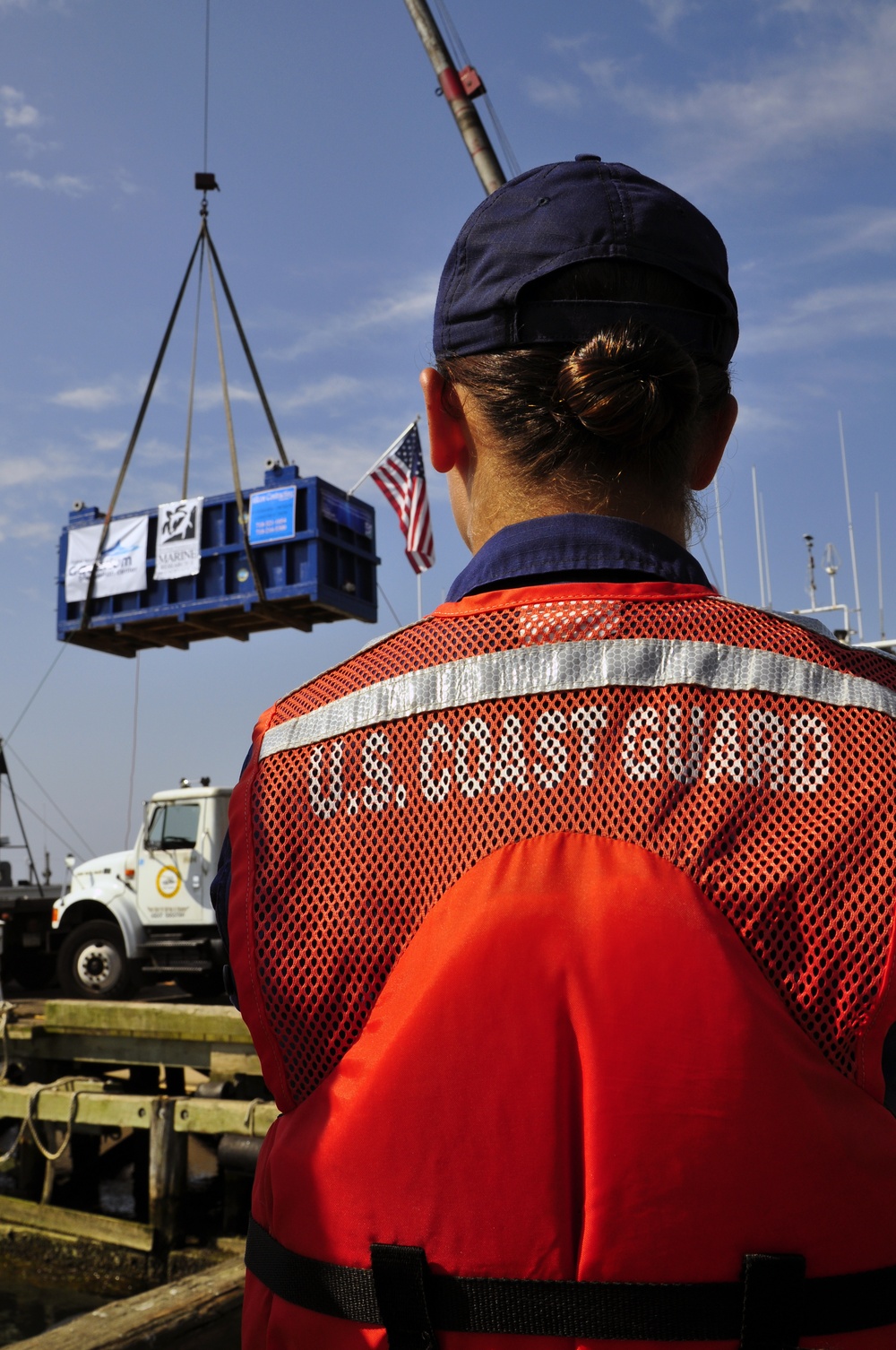 Coast Guard assists in dolphin’s release into the ocean