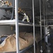 Crash recovery van