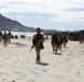 13th MEU Amphibious Assault 130830