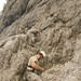 Rock climbing