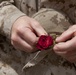 Minden Day Ceremony