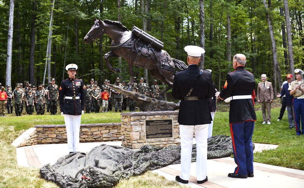 Staff Sgt. Reckless Monument Dedication