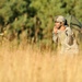 173rd IBCT (A) paratroopers jump training in Grafenwoehr