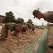 Photo Gallery: Marine recruits learn discipline, motivation through incentive training on Parris Island