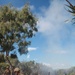 Testing mortar skills in the hills of Australia