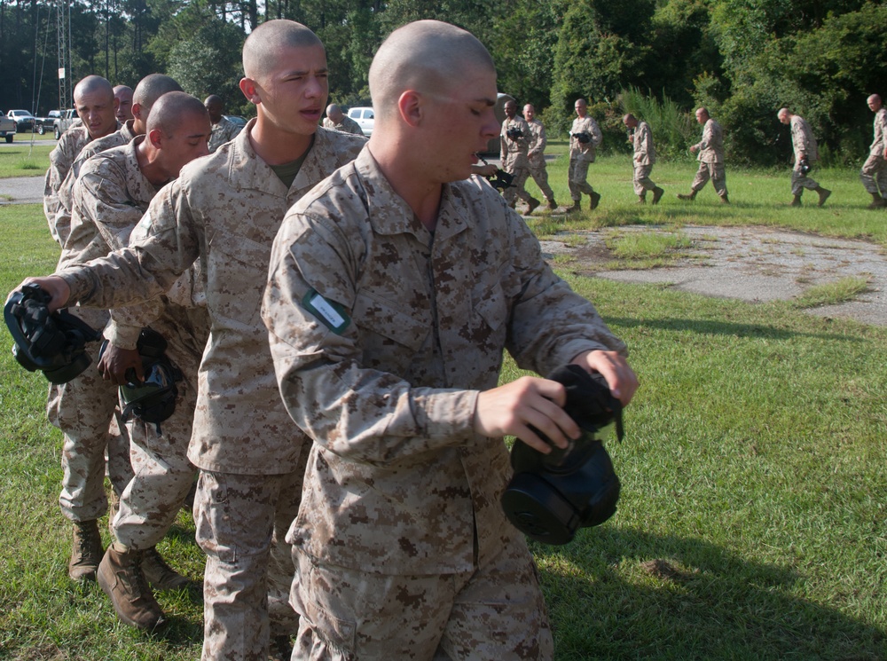 Photo Gallery: Marine recruits learn chemical warfare defense on Parris Island