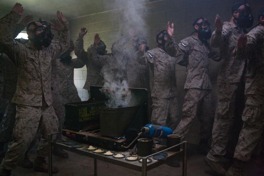 Photo Gallery: Marine recruits learn chemical warfare defense on Parris Island
