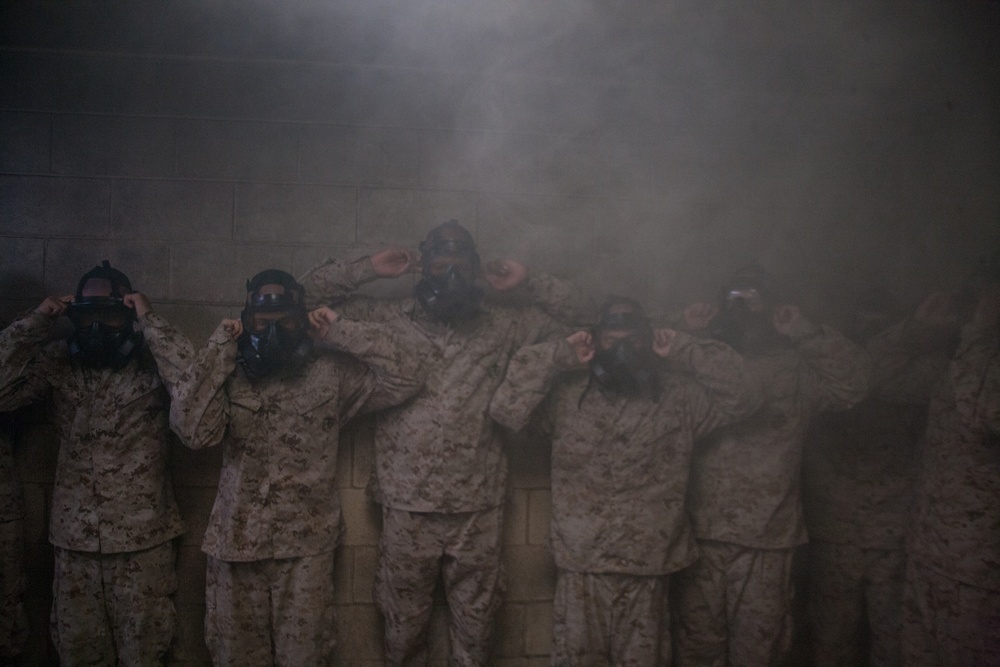 Photo Gallery: Marine recruits learn chemical warfare defense on Parris Island