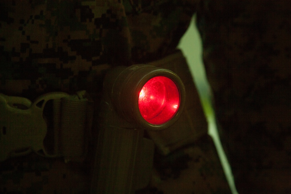 Photo Gallery: Marine recruits learn security procedures on Parris Island