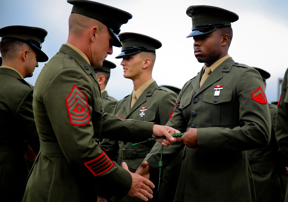 DVIDS - Images - Marines wear French unit award honoring Fighting Fifth ...