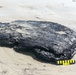 Coast Guard, Texas General Land Office clean tar balls from south Texas shoreline