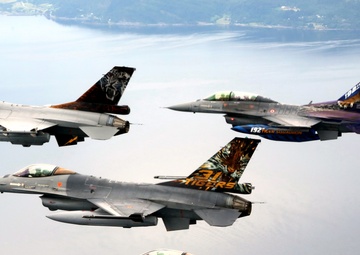 Arctic Tigers awake: World class training a success at NATO Tiger Meet