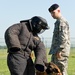 Military working dogs sink their teeth into local media