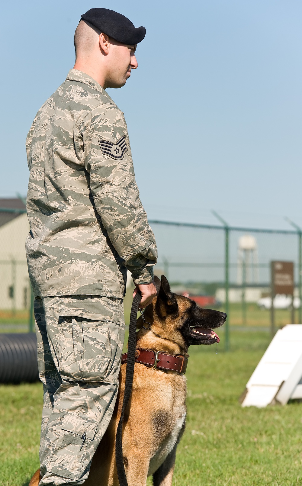 Military working dogs sink their teeth into local media