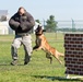 Military working dogs sink their teeth into local media